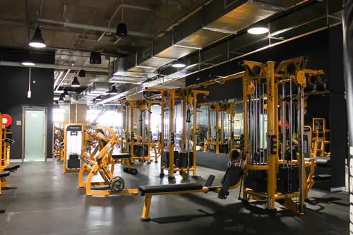 strength equipment golds gym miranda